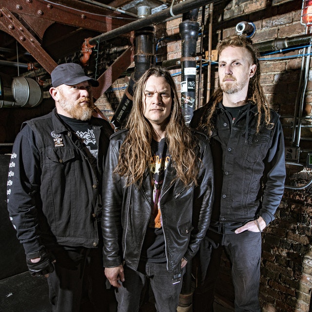 Jungle Rot
