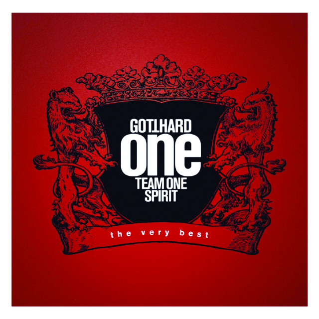 One Team One Spirit